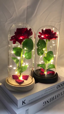 A Rosa Encantada Luminaria Abajur comLED Inspirada na A Bela e A Fera e no OPequeno Principe A Rosa Ou girassol