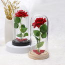 A Rosa Encantada Luminaria Abajur comLED Inspirada na A Bela e A Fera e no OPequeno Principe A Rosa Ou girassol